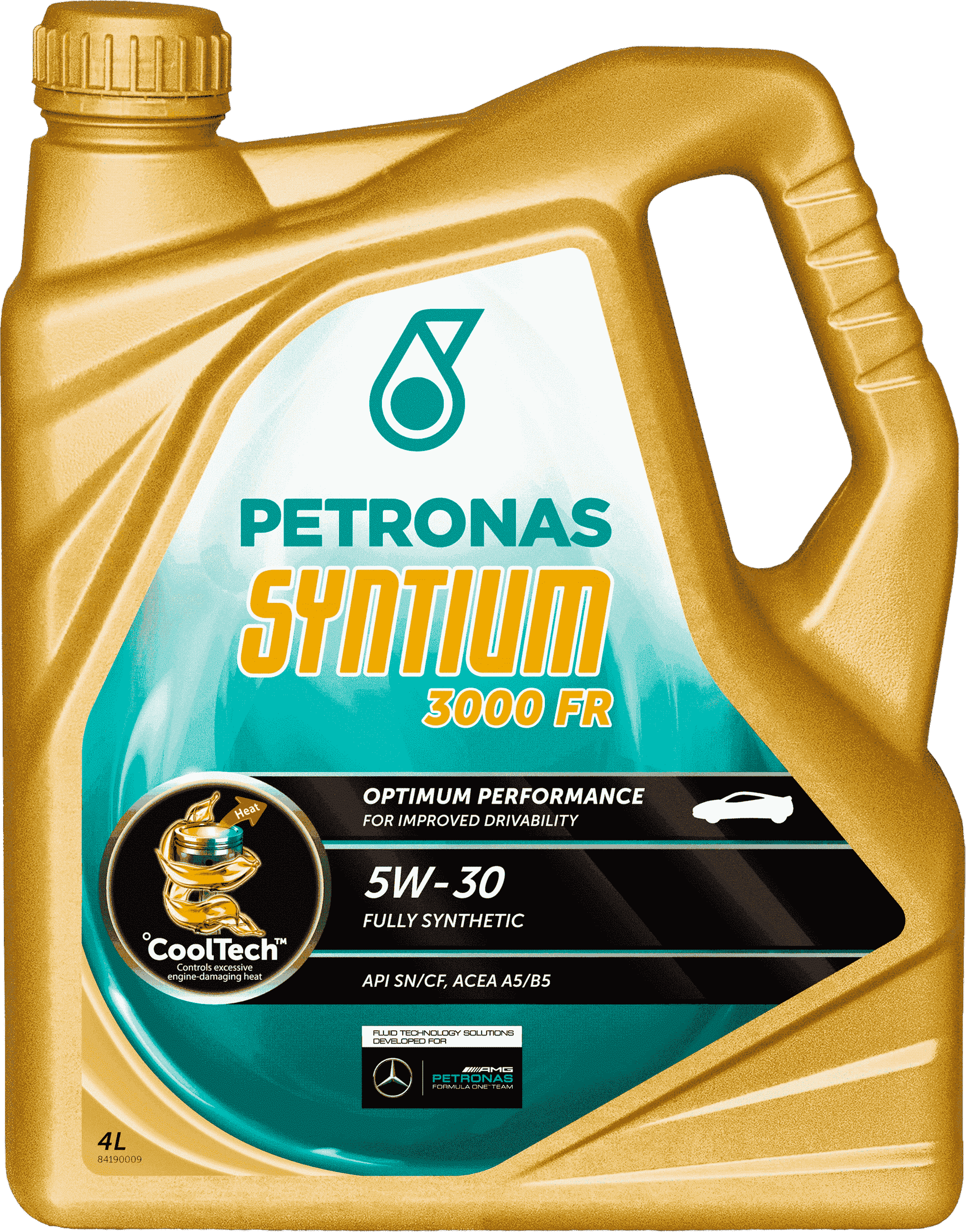 Моторное масло SYNTIUM 3000 FR 5W-30, 4л