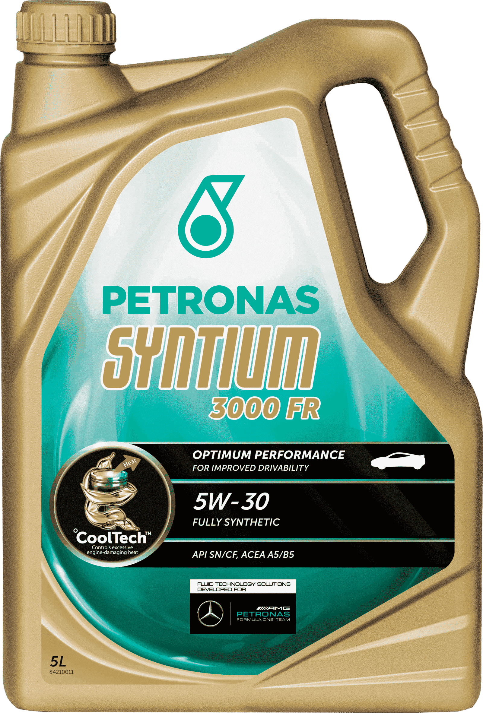 Моторное масло SYNTIUM 3000 FR 5W-30, 5л